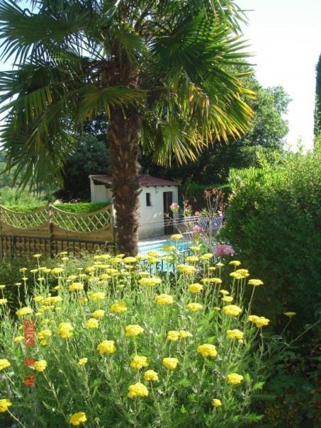 Les Verveines De Vaison Ngoại thất bức ảnh
